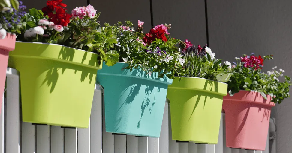 Best Plants for Balcony (Low Maintenance) - A Deep Insight!